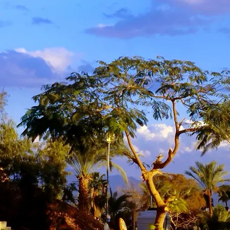 Taba Sands Hotel & Casino (Adults Only)