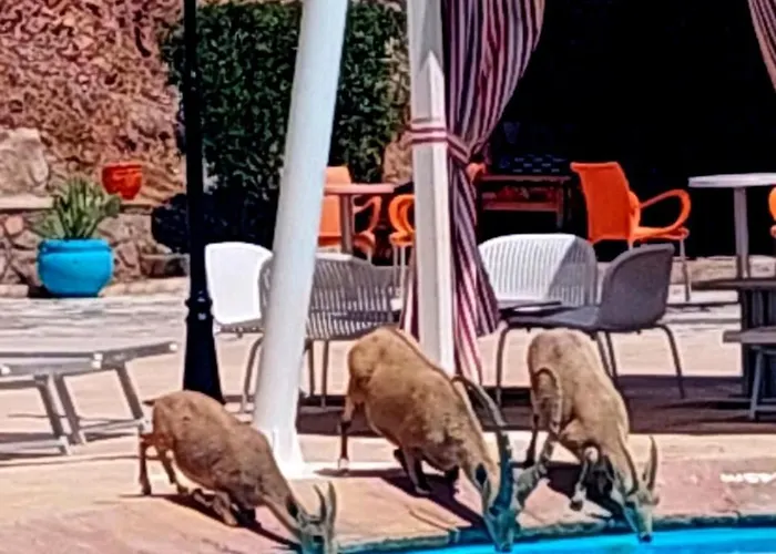 Sands & Casino (adults Only) 4* Taba